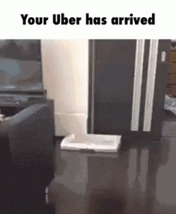 GIF of a dog zooming across the floor in a cardboard box with the caption, "Your Uber has arrived."