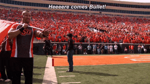 GIF of Bullet running on the OSU football field with the caption, "Heeeere comes Bullet!"