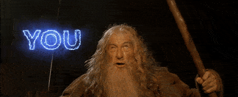 GIF of Gandalf from Lord of the Rings saying, "You shall not pass."
