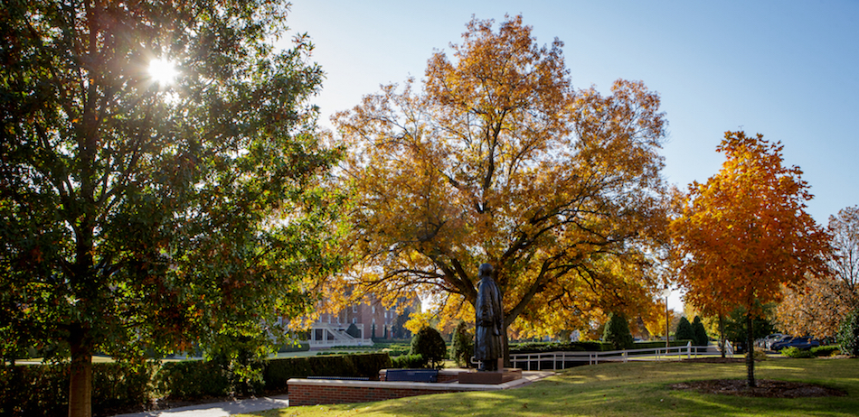 This is a photo of trees with fall leaves on OSU's campus.
