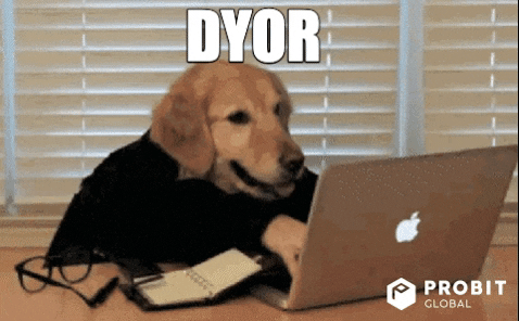 Dog typing at laptop