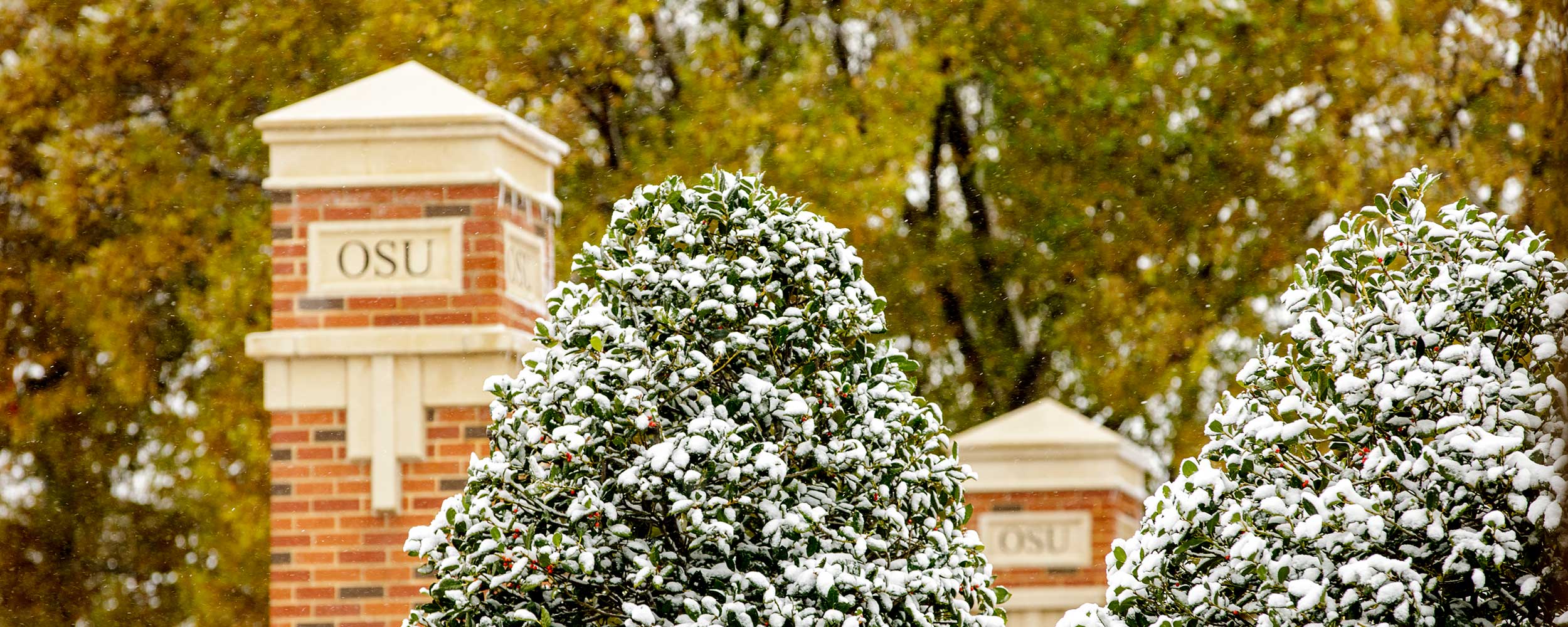tree covered in snow in front of OSU pillar